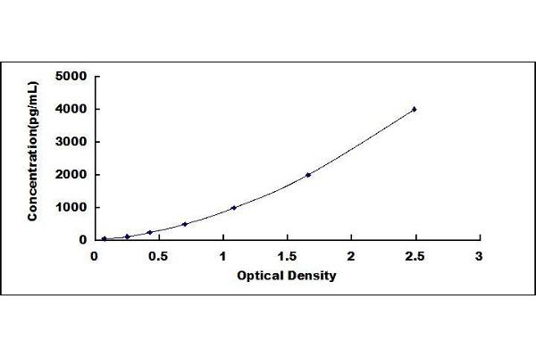 Glucuronidase beta ELISA Kit