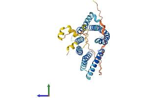 AlphaFold protein structure predicition of Human Recombinant TMEM185A Protein, UniprotID Q8NFB2