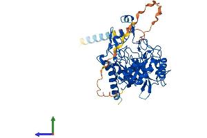 AlphaFold protein structure predicition of Mouse Recombinant Maneal Protein, UniprotID Q6P1J0 (MANEAL Protein (AA 1-452) (His tag))