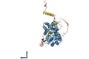 AlphaFold protein structure predicition of Human Recombinant SLC17A6 Protein, UniprotID Q9P2U8 (Solute Carrier Family 17 (Vesicular Glutamate Transporter), Member 6 (SLC17A6) (AA 1-582) protein (His tag))