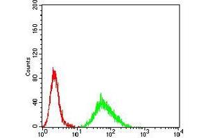 Flow cytometric analysis of Hela cells using CIDEC mouse mAb (green) and negative control (red). (CIDEC antibody  (AA 53-141))