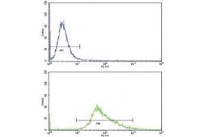 Flow Cytometry (FACS) image for anti-Wingless-Type MMTV Integration Site Family, Member 4 (WNT4) (AA 211-239) antibody (ABIN3029633)
