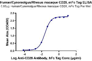 ELISA image for CD28 (CD28) (AA 19-152) protein (mFc Tag) (ABIN7274254)