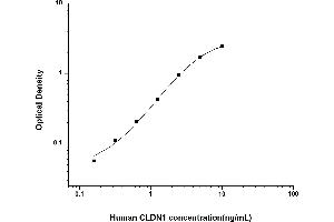 Claudin 1 ELISA Kit