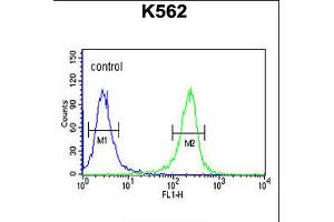 Flow cytometric analysis of K562 cells (right histogram) compared to a negative control cell (left histogram). (FAN1 antibody  (N-Term))