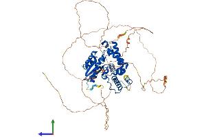 Protein Structure (PS) image for Eyes Absent Homolog 1 (EYA1) (AA 1-591) protein (His tag) (ABIN7563562)