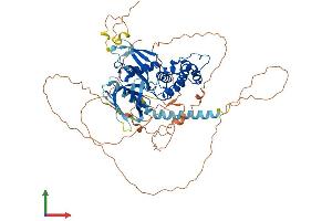 AlphaFold protein structure predicition of Mouse Recombinant Frmd6 Protein, UniprotID Q8C0V9