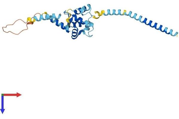 EFHD1 Protein (AA 1-239) (His tag)