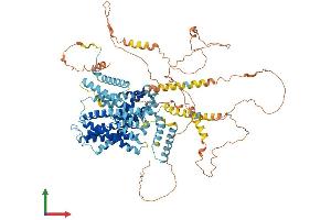 AlphaFold protein structure predicition of Human Recombinant SLC9A5 Protein, UniprotID Q14940 (SLC9A5 Protein (AA 1-896) (His tag))