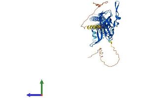 AlphaFold protein structure predicition of Human Recombinant KCNJ12 Protein, UniprotID Q14500