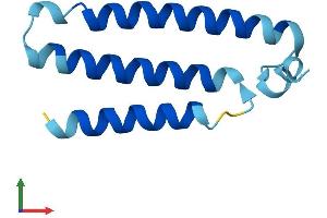 AlphaFold protein structure predicition of Mouse Recombinant Mtnd4l Protein, UniprotID P03903 (MT-ND4L Protein (AA 1-98) (His tag))