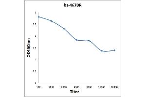 PILRB antibody  (AA 51-150)