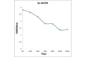 PILRB antibody  (AA 51-150)