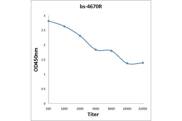 PILRB antibody  (AA 51-150)