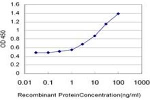 Detection limit for recombinant GST tagged HERC4 is approximately 0. (HERC4 antibody  (AA 341-440))