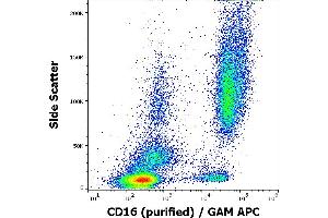 Flow cytometry surface staining pattern of human peripheral whole blood stained using anti-human CD16 (3G8) purified antibody (concentration in sample 2 μg/mL, GAM APC). (CD16 antibody)