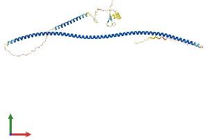Protein Structure (PS) image for Tuftelin 1 (TUFT1) (AA 1-390) protein (His tag) (ABIN7562233)