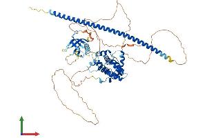 Protein Structure (PS) image for rho GTPase Activating Protein 25 (ARHGAP25) (AA 1-648) protein (His tag) (ABIN7559024)