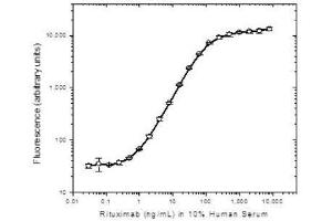 Detection of Rituximab spiked into 10% human serum by sandwich ELISA. (Rituximab antibody)