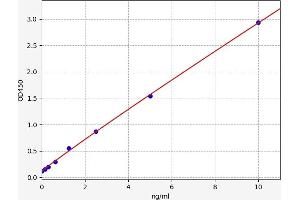Typical standard curve (Neuregulin 2 ELISA Kit)