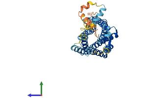 AlphaFold protein structure predicition of Mouse Recombinant Cxcr5 Protein, UniprotID Q04683 (CXCR5 Protein (AA 1-374) (His tag))