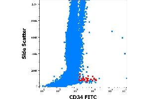 Flow cytometry surface staining pattern of human peripheral whole blood showing CD34 positive stem cells (red) stained using anti-human CD34 (QBEnd-10) FITC antibody (20 μL reagent / 100 μL of peripheral whole blood). (CD34 antibody  (FITC))