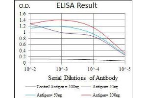 Black line: Control Antigen (100 ng), Purple line: Antigen(10 ng), Blue line: Antigen (50 ng), Red line: Antigen (100 ng), (HAS3 antibody)