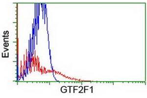 HEK293T cells transfected with either RC201294 overexpress plasmid (Red) or empty vector control plasmid (Blue) were immunostained by anti-GTF2F1 antibody (ABIN2455071), and then analyzed by flow cytometry. (GTF2F1 antibody)