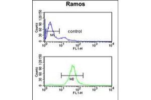 Flow cytometric analysis of Ramos cells (bottom histogram) compared to a negative control cell (top histogram).