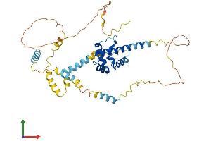 AlphaFold protein structure predicition of Mouse Recombinant Syap1 Protein, UniprotID Q9D5V6 (SYAP1 Protein (AA 1-365) (His tag))