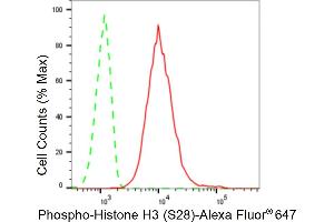 Flow cytometric analysis of Phospho-Histone H3 (S28) expression in C2C12 cells using Phospho-Histone H3 (S28) antibody (ABIN7798976), 1:2,000).