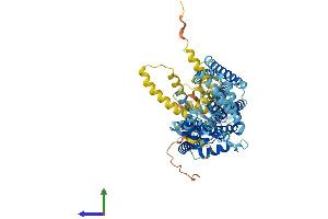 AlphaFold protein structure predicition of Human Recombinant SLC44A3 Protein, UniprotID Q8N4M1 (SLC44A3 Protein (AA 1-653) (His tag))