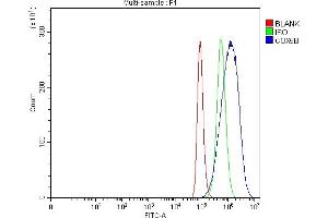 Flow Cytometry analysis of Hela cells using anti-COX5B antibody (ABIN7598975).