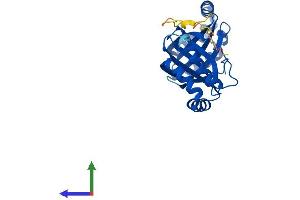 Protein Structure (PS) image for Nipsnap Homolog 3B (NIPSNAP3B) (AA 1-247) protein (His tag) (ABIN7549817)