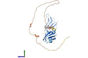 Protein Structure (PS) image for Heterogeneous Nuclear Ribonucleoprotein A0 (HNRNPA0) (AA 1-305) protein (His tag) (ABIN7560708)