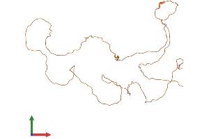 AlphaFold protein structure predicition of Human Recombinant KRTAP5-1 Protein, UniprotID Q6L8H4 (KRTAP5-1 Protein (AA 1-278) (His tag))