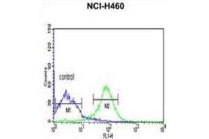 Flow Cytometry (FACS) image for anti-FK506 Binding Protein 14, 22 KDa (FKBP14) antibody (ABIN3002691) (FKBP14 antibody)