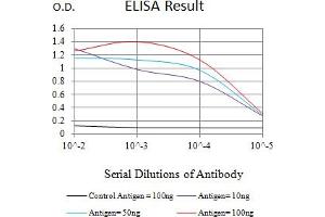 Black line: Control Antigen (100 ng),Purple line: Antigen (10 ng), Blue line: Antigen (50 ng), Red line:Antigen (100 ng) (CRTAM antibody  (AA 18-287))