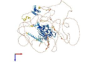 AlphaFold protein structure predicition of Mouse Recombinant Rexo1 Protein, UniprotID Q7TT28 (REXO1 Protein (AA 1-1213) (His tag))