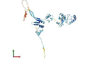 AlphaFold protein structure predicition of Human Recombinant HSP90AB2P Protein, UniprotID Q58FF8 (HSP90AB2P Protein (AA 1-381) (His tag))
