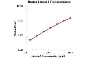 ELISA image for Chemokine (C-C Motif) Ligand 26 (CCL26) ELISA Kit (ABIN3198409)