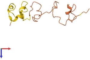 Keratin Associated Protein 17-1 (KRTAP17-1) (AA 1-105) protein (Fc Tag)