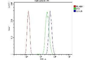 anti-serine threonine Kinase 39 (STK39) (AA 338-545) antibody