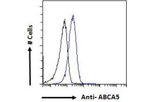ABIN302142 Flow cytometric analysis of paraformaldehyde fixed HepG2 cells (blue line), permeabilized with 0. (ABCA5 antibody  (Internal Region))