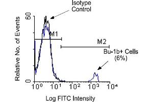 Flow Cytometry (FACS) image for anti-Bu-1b (B Cell Surface Alloantigens) (Bu-1b) antibody (ABIN371415) (Bu-1b antibody)