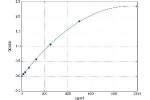 Granzyme K (Granzyme 3, Tryptase II) (GZMK) ELISA Kit