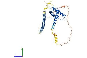 Protein Structure (PS) image for Myb/SANT-Like DNA-Binding Domain Containing 3 (MSANTD3) (AA 1-275) protein (His tag) (ABIN7560618)