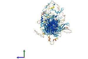Protein Structure (PS) image for PAN2 Poly(A) Specific Ribonuclease Subunit Homolog (PAN2) (AA 1-1200) protein (His tag) (ABIN7564339)