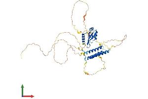 AlphaFold protein structure predicition of Mouse Recombinant Cpsf7 Protein, UniprotID Q8BTV2