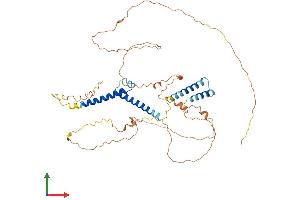 AlphaFold protein structure predicition of Human Recombinant BHLHE41 Protein, UniprotID Q9C0J9 (BHLHE41 Protein (AA 1-482) (His tag))